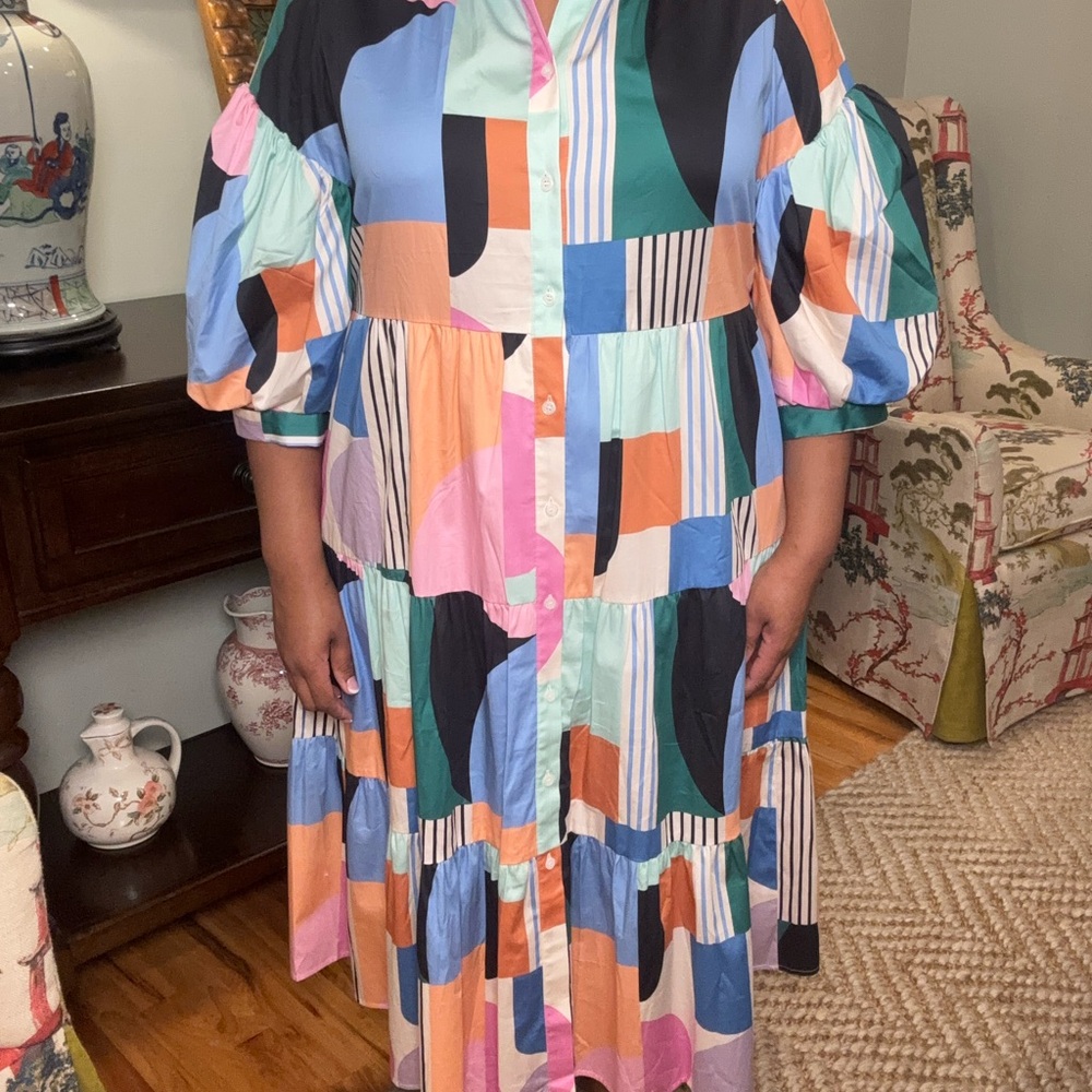 Crosby by Mollie Burch Rowen Dress Take Shape XXL